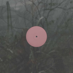 pi premiere: Alien D - Soil Dub [Theory Therapy]