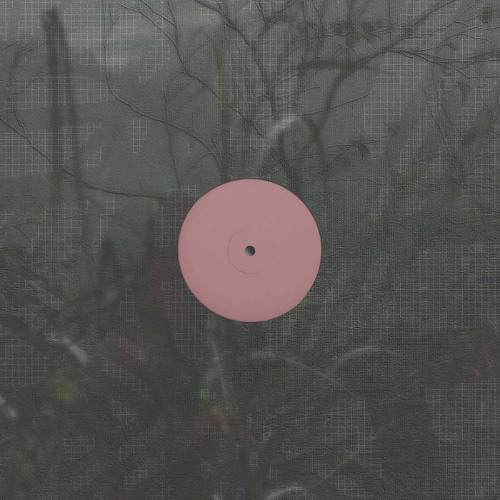 pi premiere: Alien D - Soil Dub [Theory Therapy]