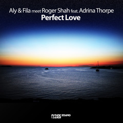 Perfect Love (Radio Edit) [feat. Adrina Thorpe]