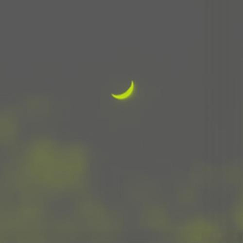 07 - what a day (in the park)