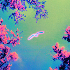 Canto Dormido (Lupita Zuniga Remix) [feat. Vicky Ripa]