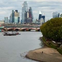 Beast In The Desert Mix