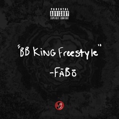 "bb king freestyle" (reprod. mizzy mauri)