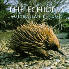 Audiobook Echidna