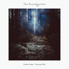 Zankee Gulati - Visionary/Fika [The Soundgarden]