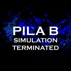 Free DL | PILA B - Simulation Terminated
