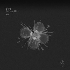 Buru - Nordic Noir (Rraph Remix)[Translucent]