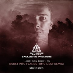 PREMIERE: Harrison Downes - Burst Into Flames (Timo Lissy Remix) [Stone Seed]