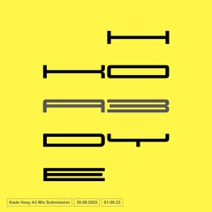 KADE HOEY A3 MIX SUBMISSION
