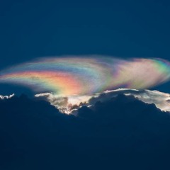 Let You Go (Ecstasy Mix)