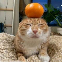 dj set @ durty dezert park n' rave 11.11.23