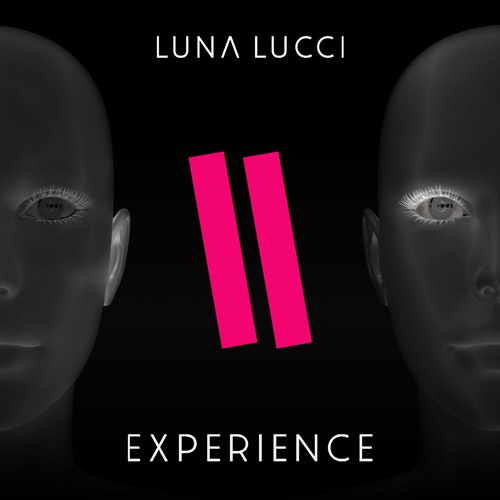 Experience