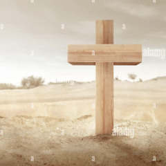 slek: she on go (prod sur6ery)