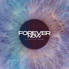 Dj J Instinct -Forever Now Feat. Ally Rose