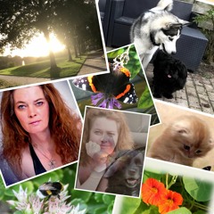 The Pick Nicks I'm Alone