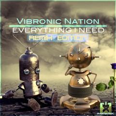 Vibronic Nation feat. Debbiah - Everything I Need (Ratz 'N' Fratz Remix) REMIX EDITION OUT NOW!