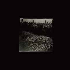 CF Premiere: Max Schreiber - Tears [Confused Machines]