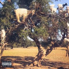 called it (ft.tazomerta)