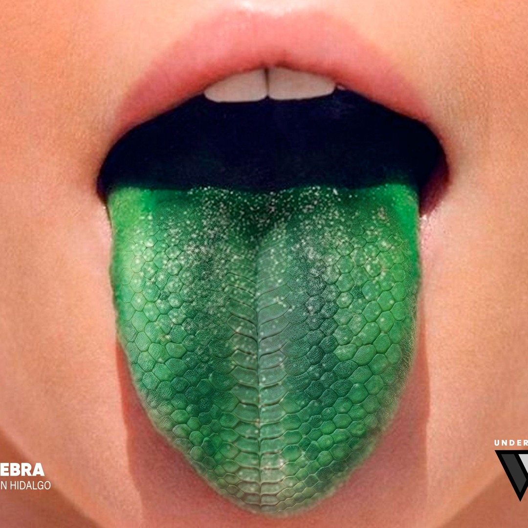 Из за чего синий язык. Заболевания по цвету языка. Здоровье по цвету языка. Конфеты окрашивающие язык. Из за чего синий язык.