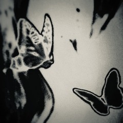 811 [PROD. Rastin & Shain]