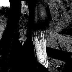 Response to DJ Boneless // Send For Harbours     : - )
