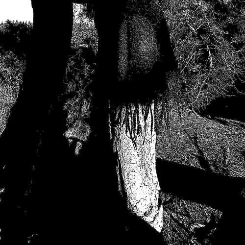 Response to DJ Boneless // Send For Harbours     : - )