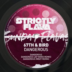 67th & Bird - Dangerous (Jay Ward Remix)