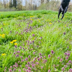 Spring '24 Mix