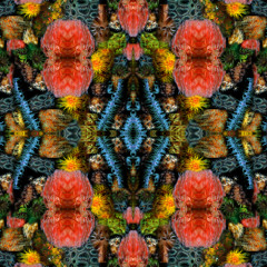 Builders of underwater cathedrals,