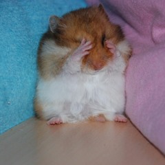 Mister Saddlebags (Original)