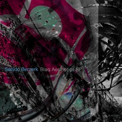 [Premiere] Sonido Berzerk - Black Amen (out on Blaq Records)