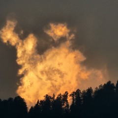 "Artti"- the Cry of lost Soul