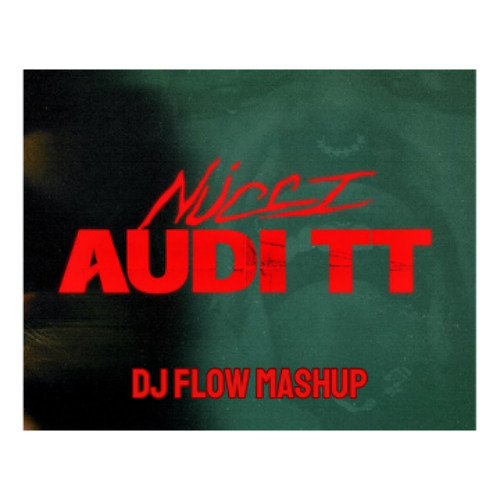 Nucci - Audi TT (Dj Flow Mashup)