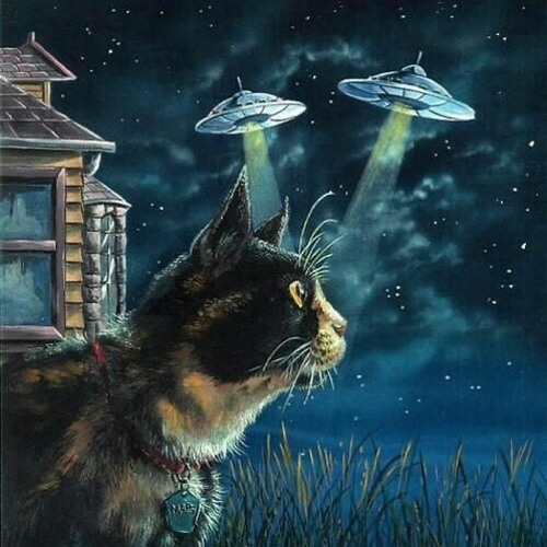 O d i s e a D r e a m s