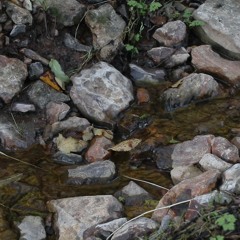 [FRE FOR PROFIT] Loyle Carner Type Beat - "Ripples"