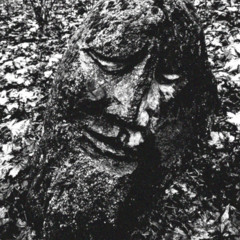 Roots