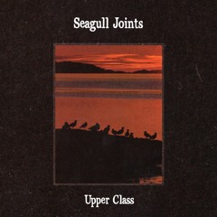 SEAGULL JOINTS