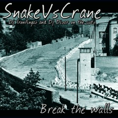 Snake Versus Crane - BREAK THE WALLS