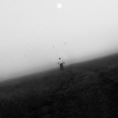 Monochrome