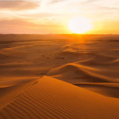 وزكريا إذ نادى ربه (الأنبياء) - عبد الباسط عبد الصمد
