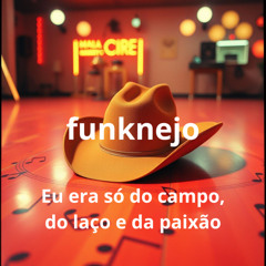 Eu era só do campo, do laço e da paixão   funknejo