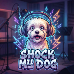 Shock My Dog (Hasan Parody)