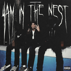 4AM IN THE NEST