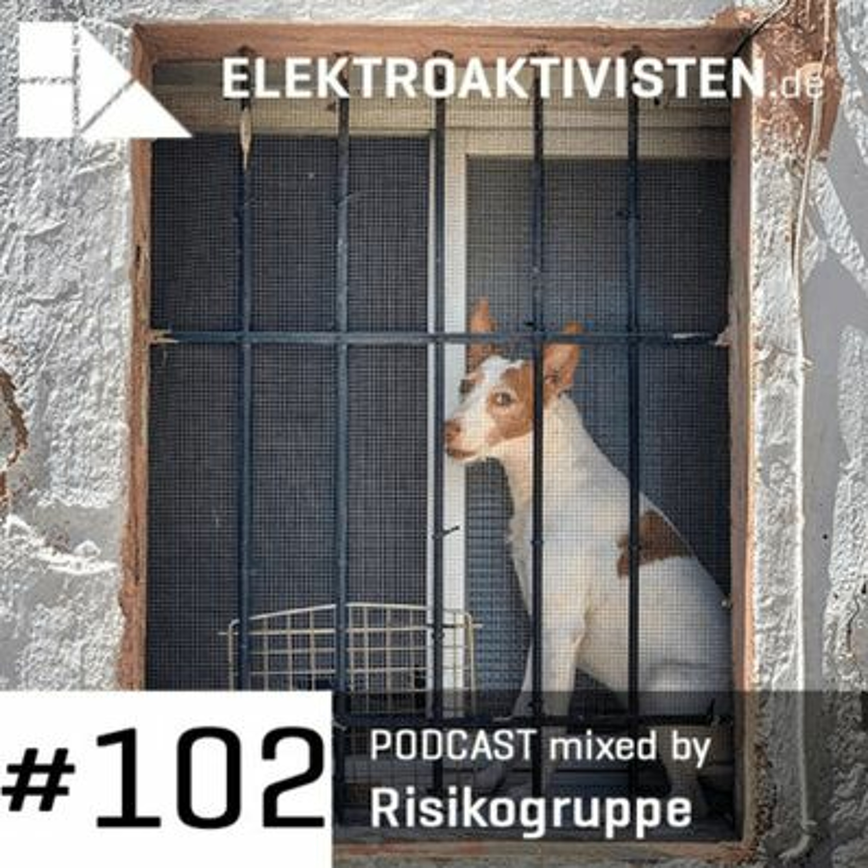 Risikogruppe - Music for a lonely dancefloor episode artwork
