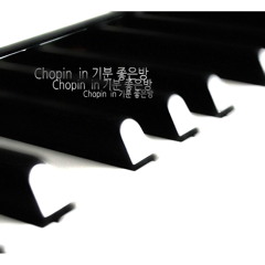 Frederic Chopin : 24 Preludes No. 15 In D Flat Major Op. 28 `Raindrop Prelude` - Sostenuto