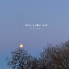 Is It Special To You? (voice memo)