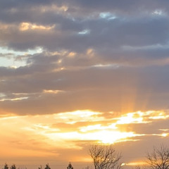 sky high prod primegokrazy