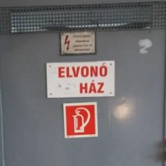 rave elvono haz
