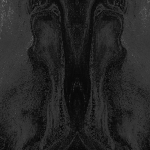 THCF - THC BEAT INSTRUMENTAL LOOP