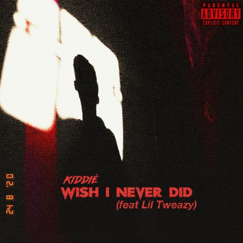 Wish I Never Did (ft Lil Tweazy).mp3